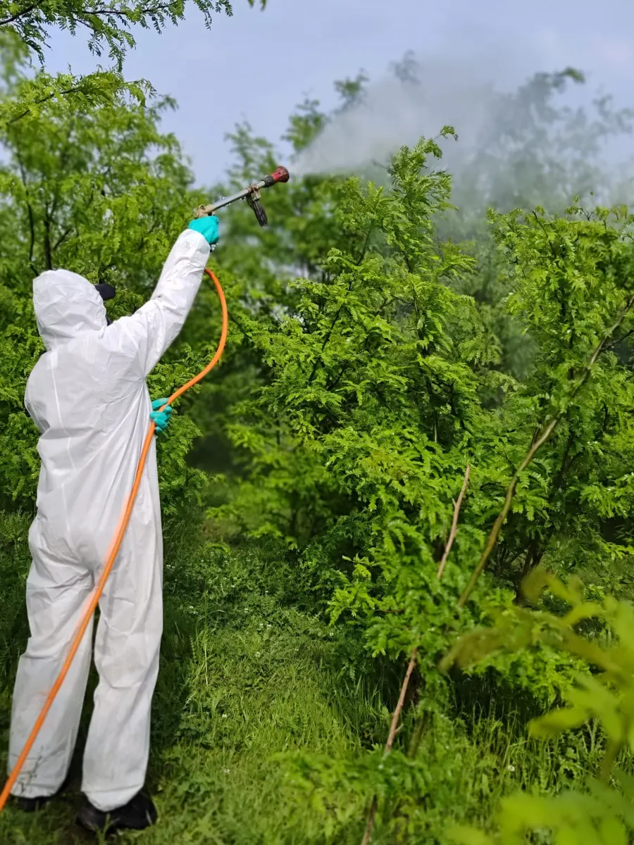 Operario de CM Agroservicios aplicando control químico sobre leñosas invasoras con equipo de protección